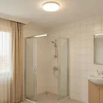 Kaptanlar 2* シダ